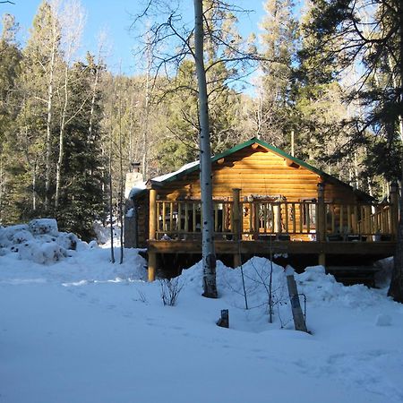 Cabin By The Creek With High Speed Wifi Red River Εξωτερικό φωτογραφία