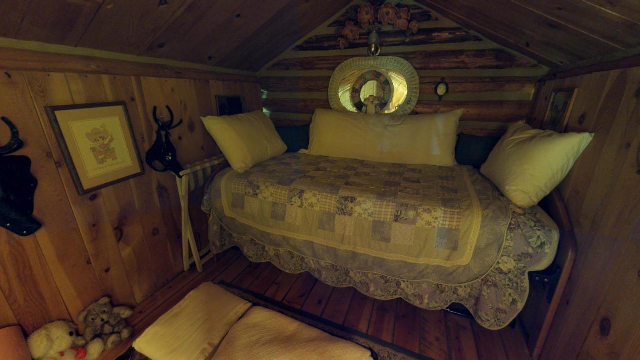 Cabin By The Creek With High Speed Wifi Red River Εξωτερικό φωτογραφία