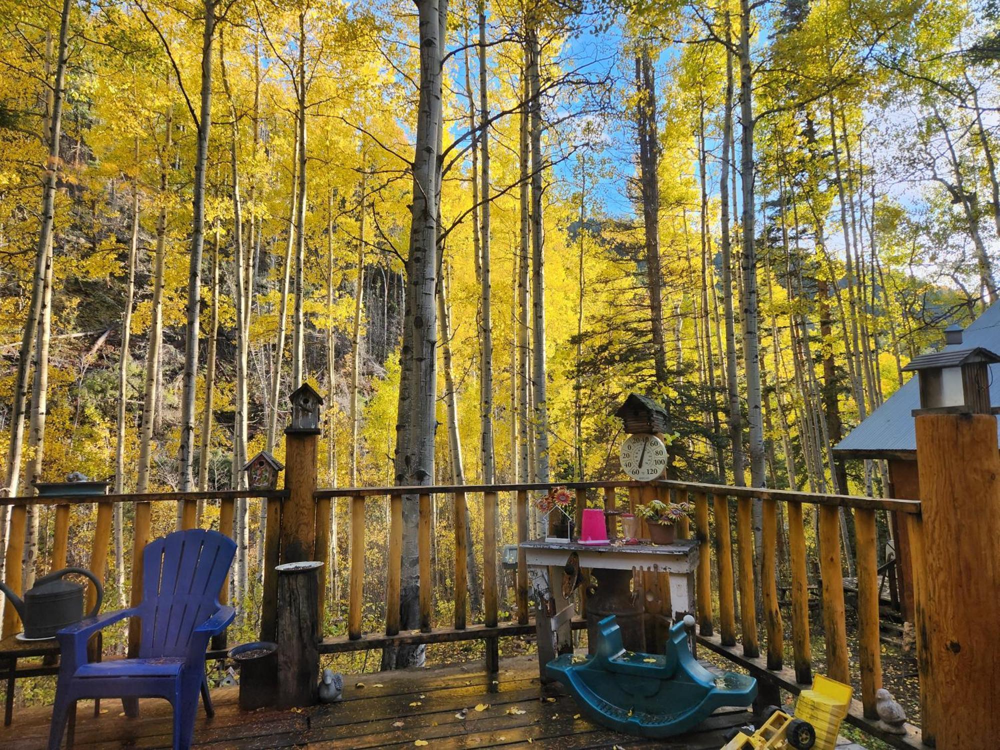 Cabin By The Creek With High Speed Wifi Red River Εξωτερικό φωτογραφία