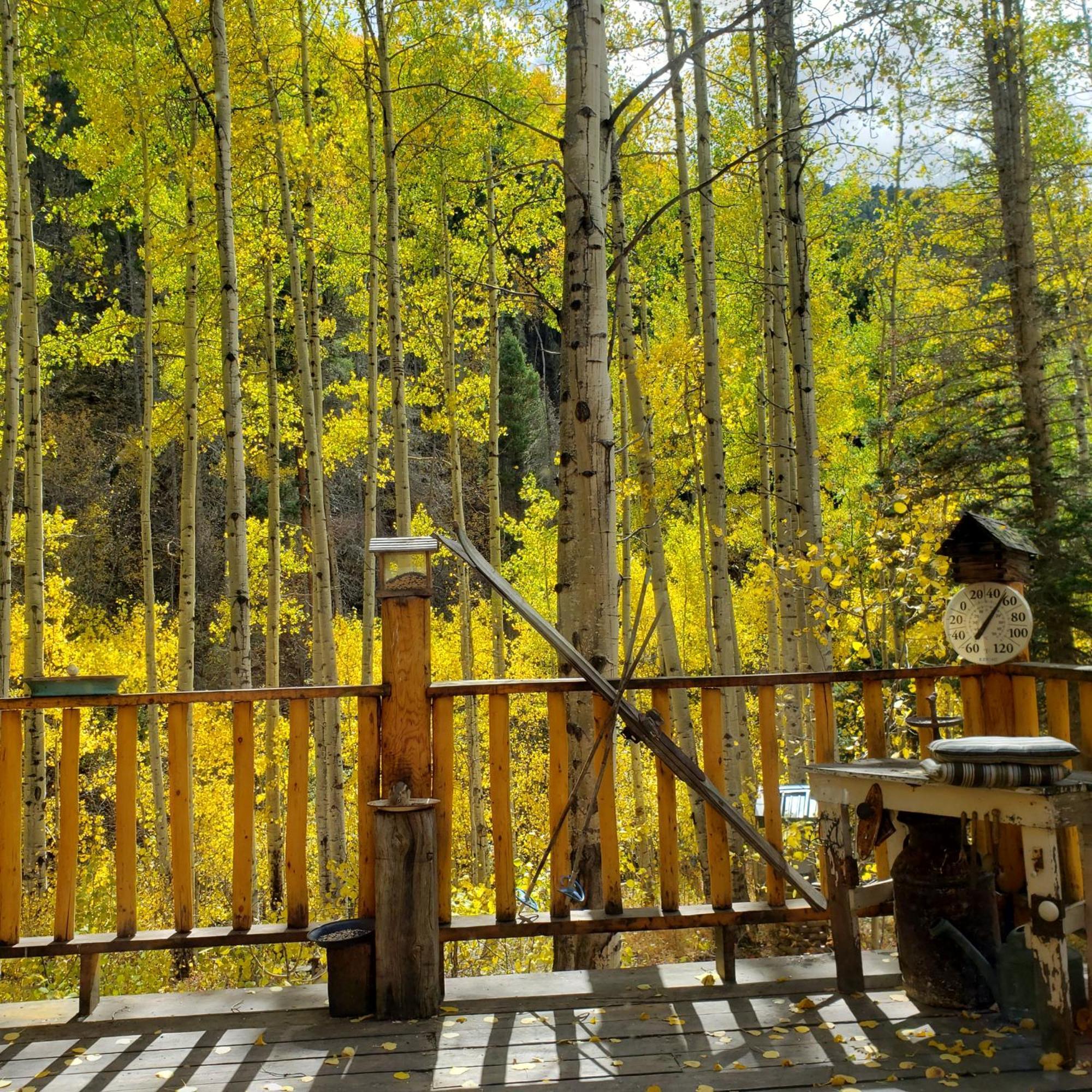 Cabin By The Creek With High Speed Wifi Red River Εξωτερικό φωτογραφία