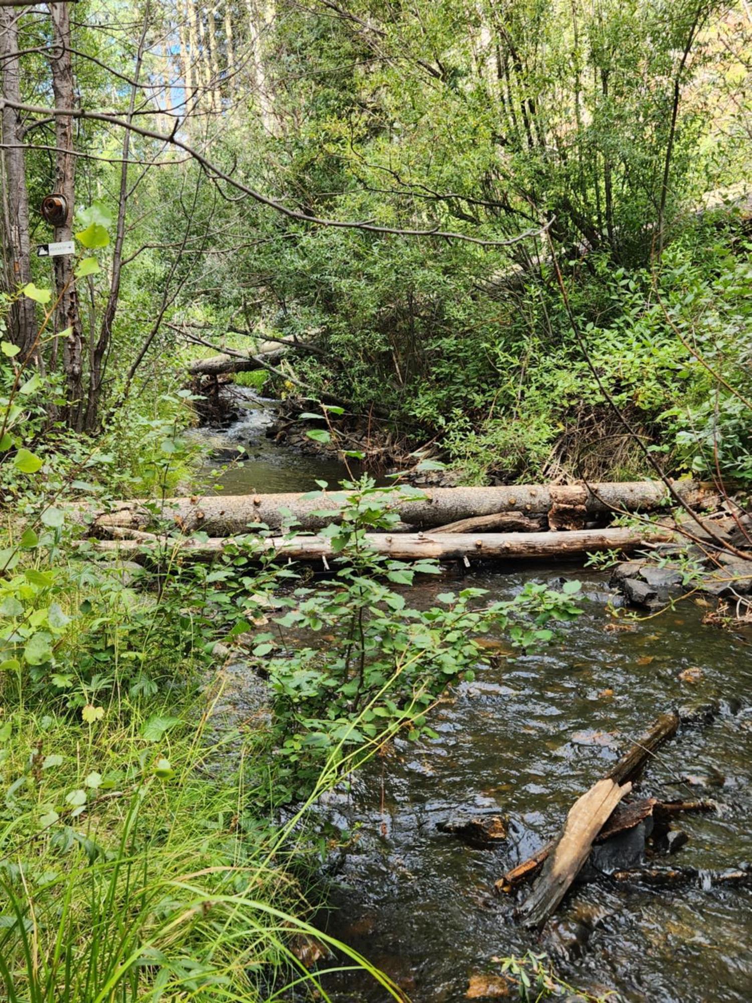 Cabin By The Creek With High Speed Wifi Red River Εξωτερικό φωτογραφία